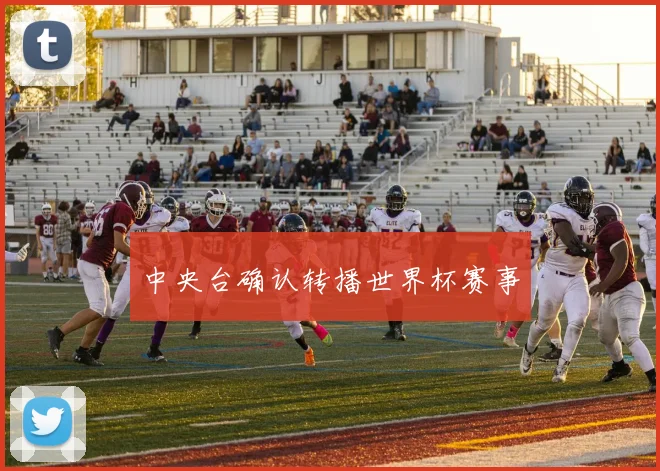 中央台确认转播世界杯赛事