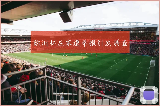 欧洲杯庄家遭举报引发调查