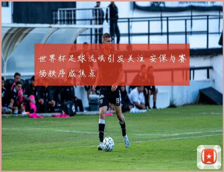 世界杯足球流氓引发关注 安保与赛场秩序成焦点