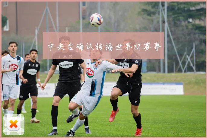 中央台确认转播世界杯赛事
