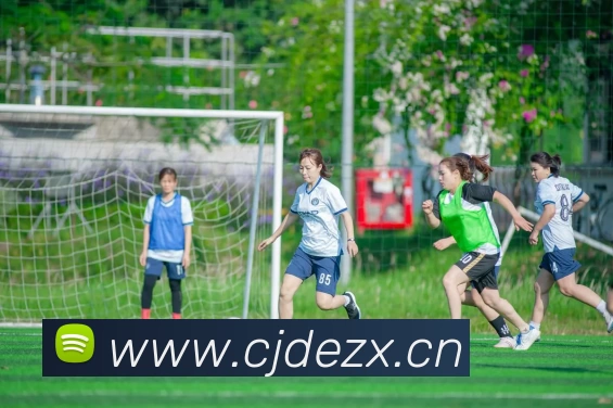 多媒体互动体验